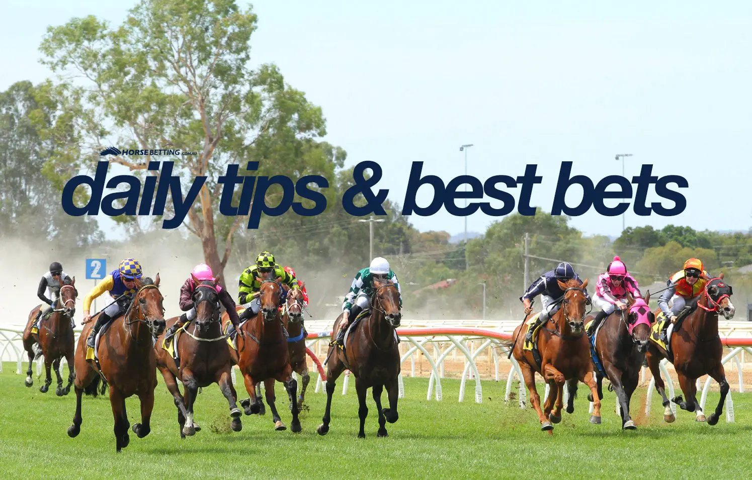 Thursday horse racing tips & best bets