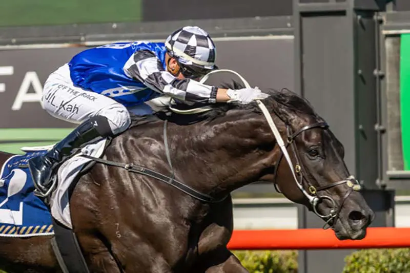 Ironclad ahead of the $250,000 Ted Van Heemst Stakes