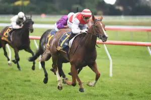 KELLY COE Kellie Coe primed for North Island Challenge Stakes