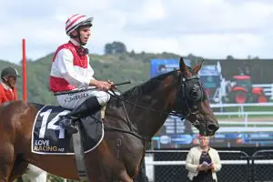 Ladies Man Sharrock dreaming of Melbourne Cup with Ladies Man