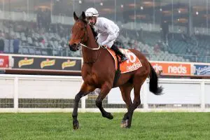 Chaillot at Caulfield