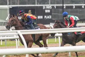 Nature Strip wins Warwick Farm trial