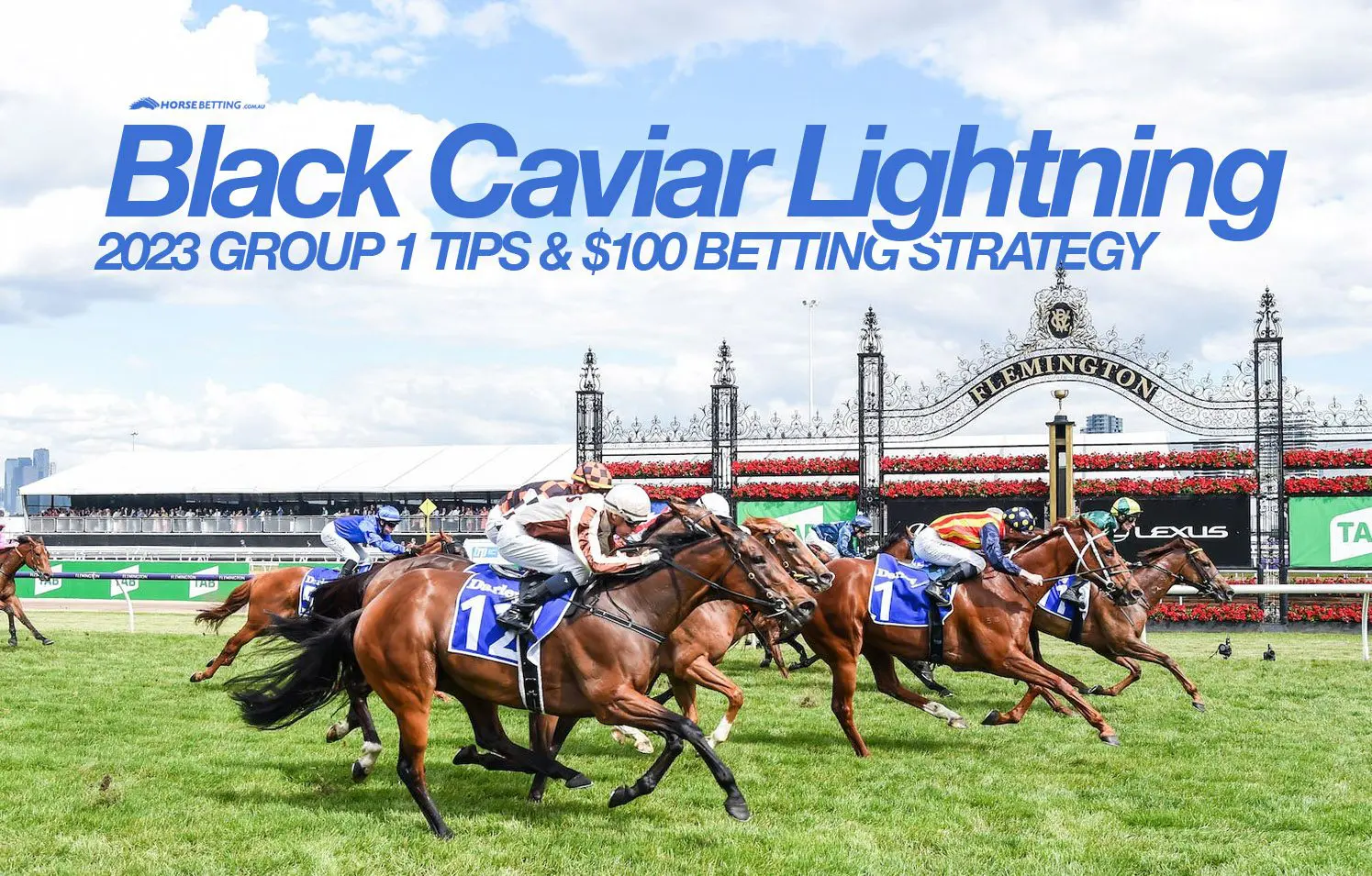 2023 Black Caviar Lightning Preview