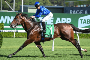 Anamoe makes a mess of them in Chipping Norton Stakes