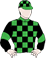 Barbie's Fox Silks