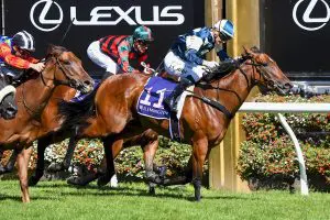 Coolangatta International stars set for battle in Group 1 King’s Stand Stakes