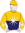 silks