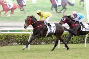 Manfred Man chases Centenary Sprint Cup glory with Lucky Sweynesse