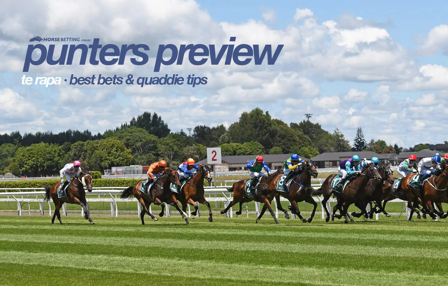 Te Rapa racing preview