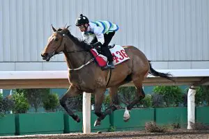 Classic Cup next step for Voyage Bubble