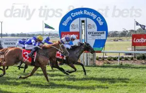 Today's horse racing tips & best bets | February 13, 2023