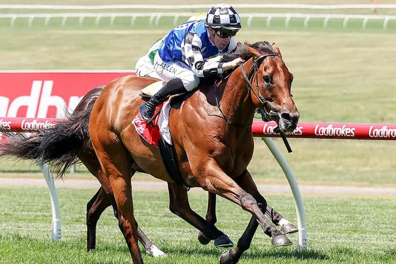 Nugget pictured saluting in the Lord Stakes