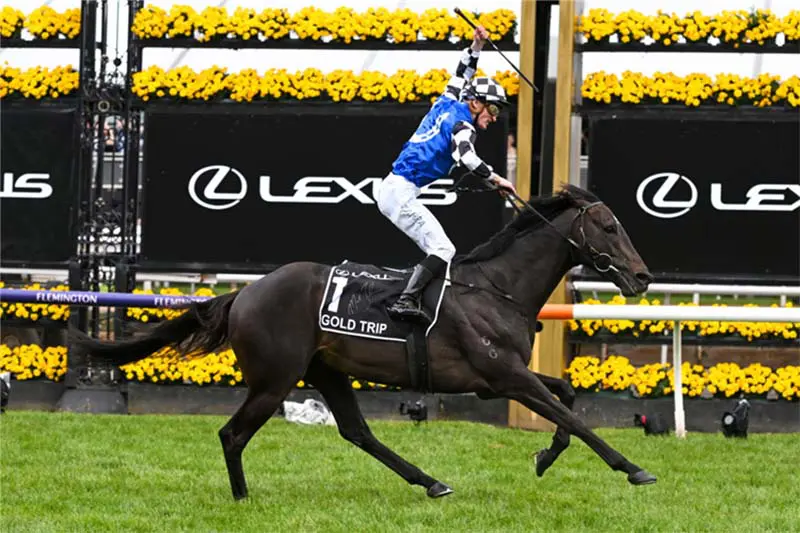 Which Horse Won The 2022 Melbourne Cup? Flemington