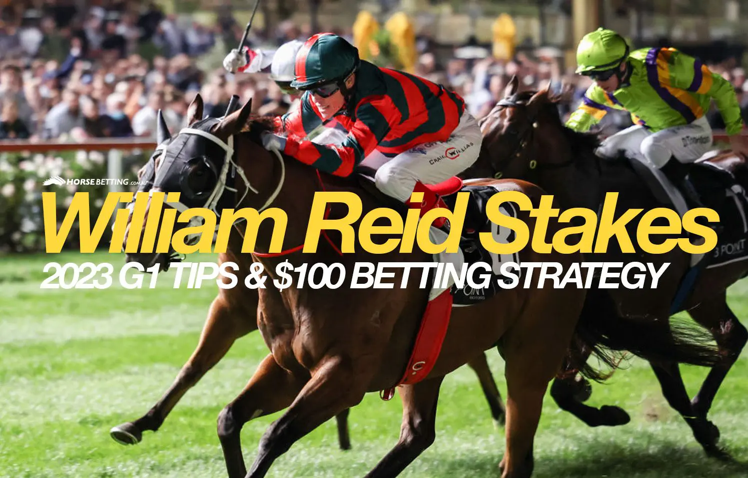 2023 William Reid Stakes Betting Strategy Friday 24/3/23