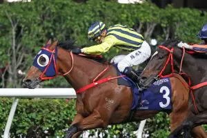 Adios Lightweight hope Adios takes aim at sizzling dirt finale