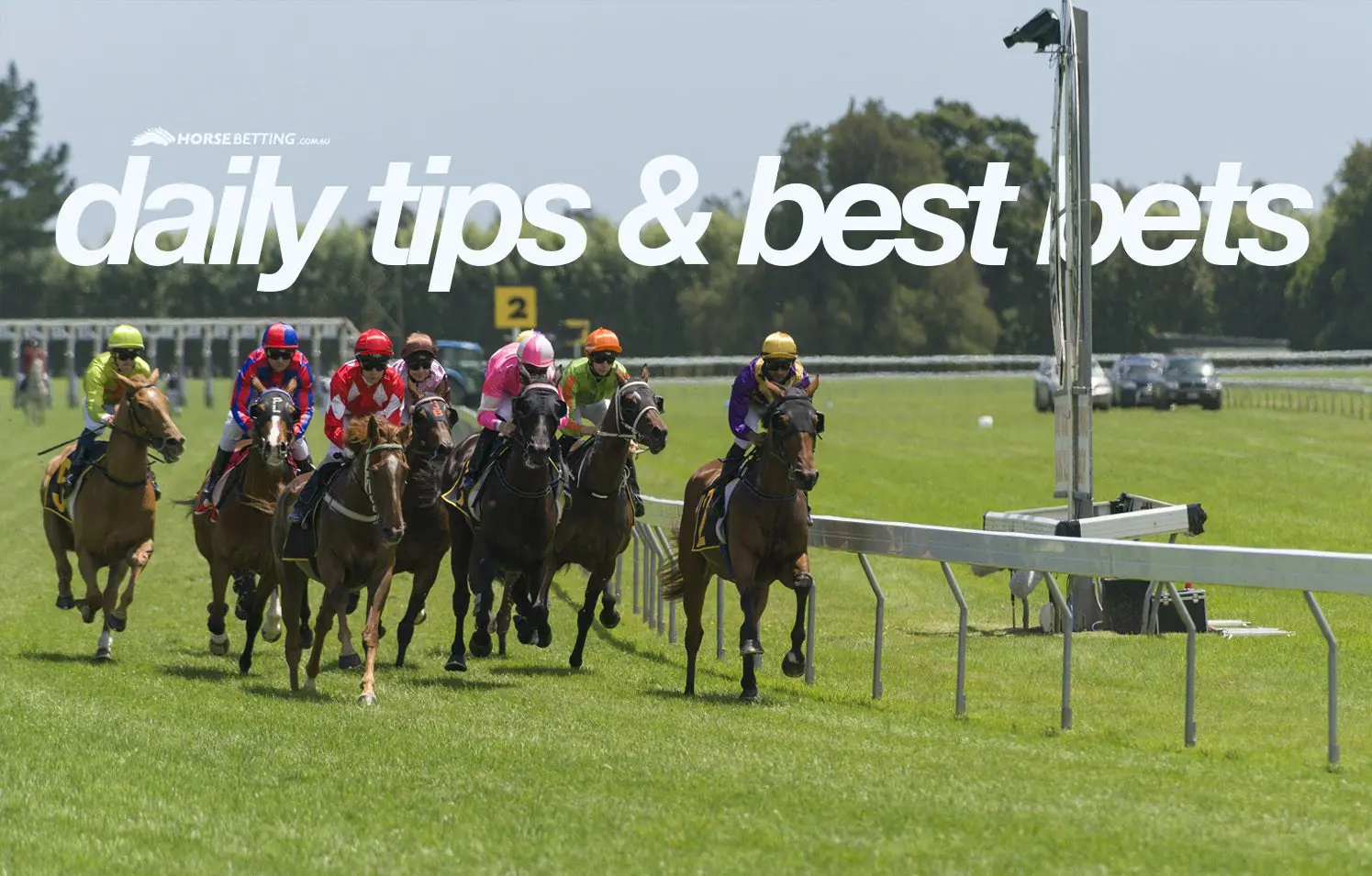 Friday horse racing tips & best bets