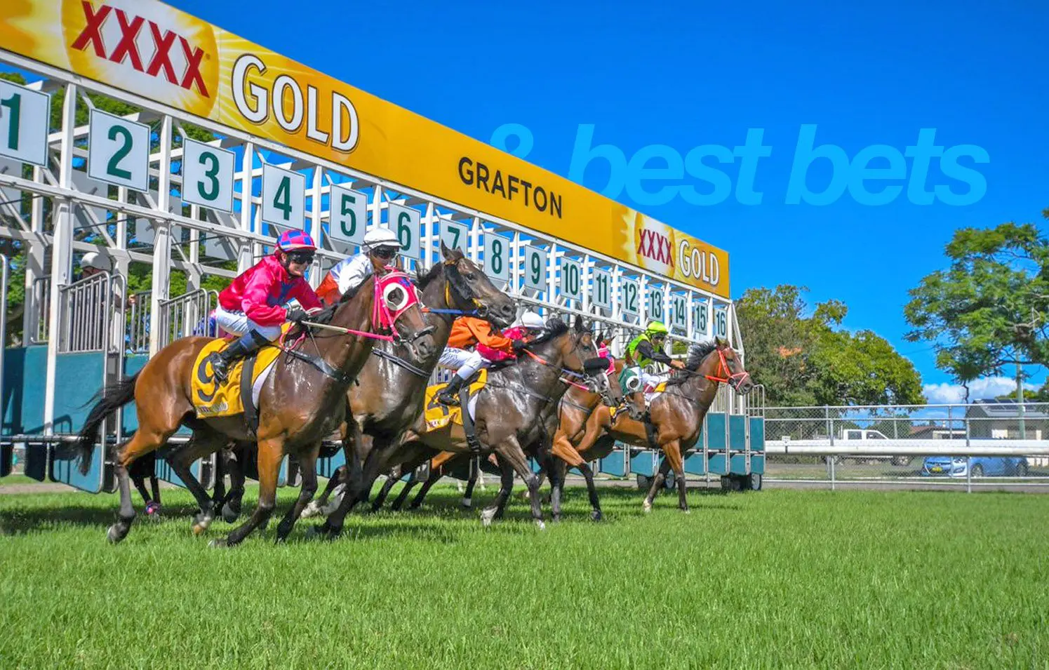 Monday horse racing tips & best bets