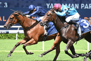 Learning To Fly Reisling Learning To Fly remains unbeaten in Group 2 Reisling Stakes
