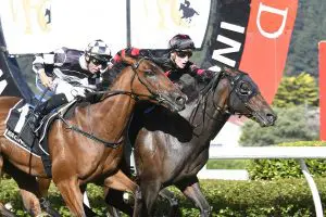 Maria Farina provides Weatherley family with stakes double Maria Farina provides Weatherley family with stakes double