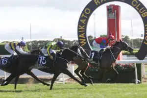 Sharp 'N' Smart NZ Derby hero still Sharp 'N' Smart
