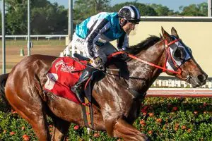 Siakam Big win for Clarke as Siakam seals St Patrick's Day Cup in Darwin