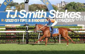 2023 TJ Smith Stakes Preview TJ Smith Stakes tips