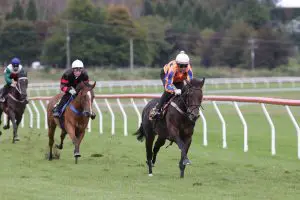 Trobriand Trobriand thriving ahead of Sires’ Produce