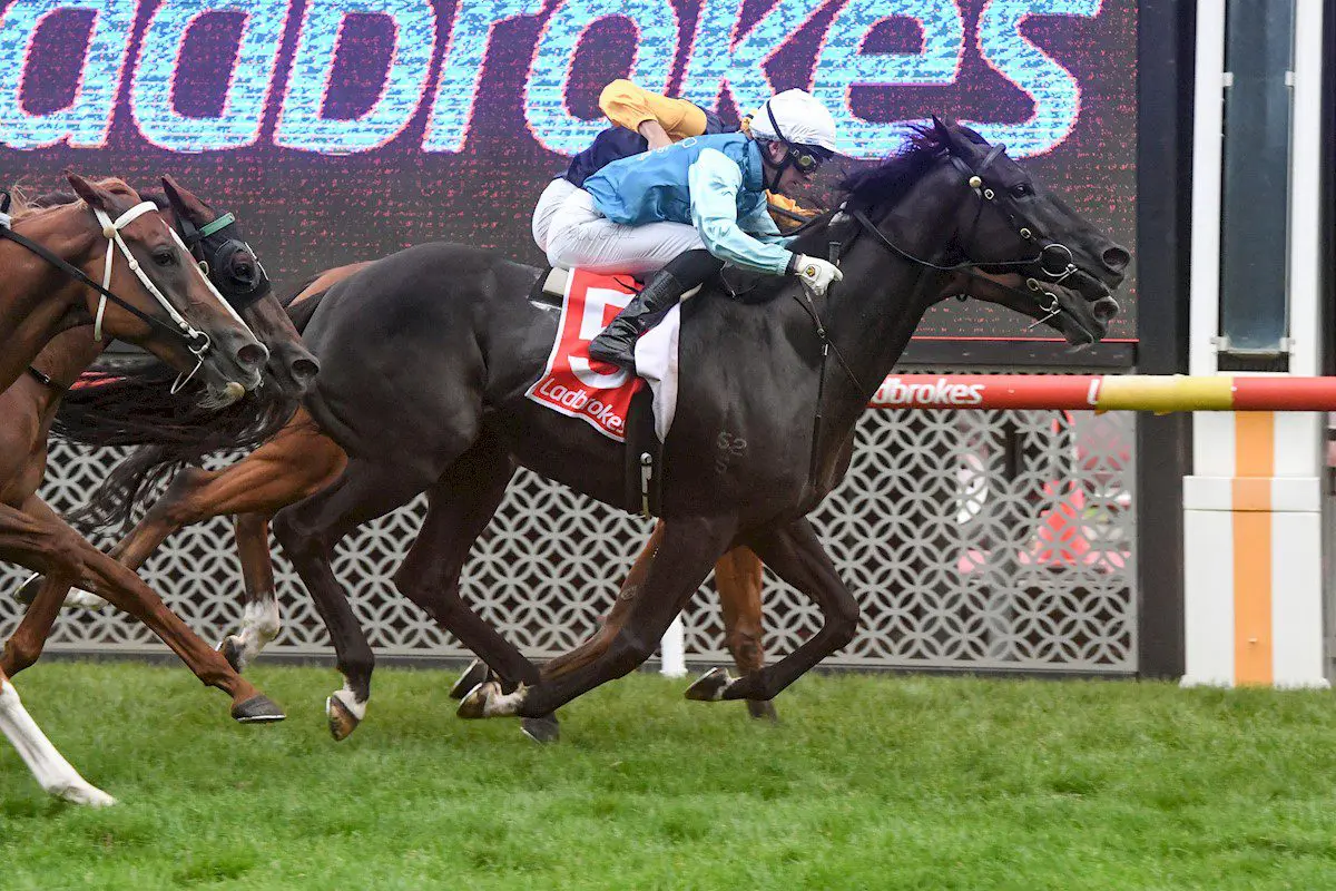 Yulong Patrol wins at Moonee Valley