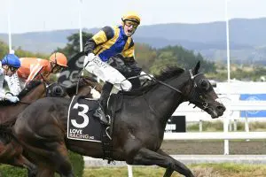 Arby Arby continues stable run in Manawatu Classic