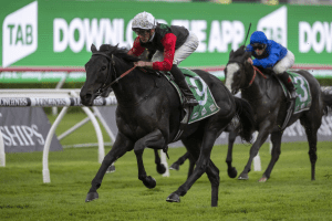 Arts Arts causes major boilover in Adrian Knox Stakes win