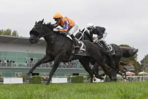 Brando Brando all heart in Awapuni Gold Cup victory