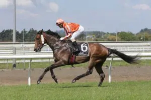 Desert Lightning Colgan looking to strike at Otaki
