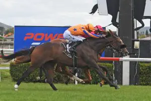 Fierce Flight Fierce Flight takes Hawke’s Bay Cup in desperate finish