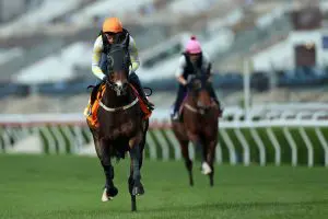 Golden Sixty 284 Lui camp happy as Golden Sixty goes for three in FWD Champions Mile
