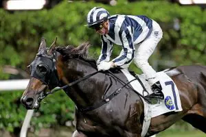 Magniac Jamie Richards continues hot run with Happy Valley double