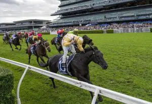 Major Beel Major Beel causes upset in the Australian Derby