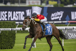 Militarize Militarize bolts clear in ATC Sire Produce Stakes