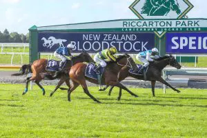 Miss Layla Miss Layla upsets favourites in Airfreight Stakes