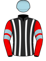 Silks