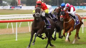 Princess Grace Hawkesbury Crown Hawkesbury hosts many great races