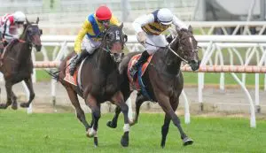 Right You Are Right You Are Caulfield Cup bound after Mornington Cup thriller