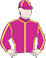 Silks