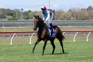 To Catch A Thief p 4266 Hopes of catching a winning break in Champagne