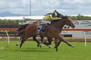 Waitak Third time could be the charm for Guineas runner