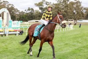 Waltz On By Waltz On By does just that to take out Listed Bendigo Guineas