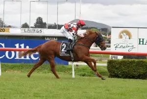 Wewillrock Trainer endures frustrating day at Rosehill
