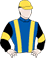 Silks