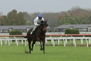 Cheval Dor 9845 Cheval D’Or on track for Queensland Oaks
