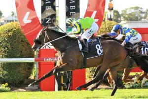 Kalapour Kalapour shows his class in Group 3 JRA Chairman's Handicap win