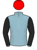 Silks